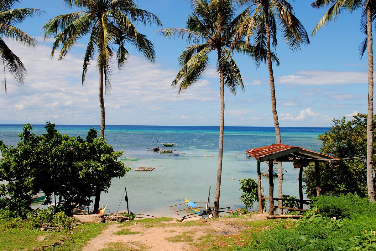 Caticugan Marine Sanctuary